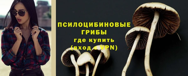 спиды Абаза