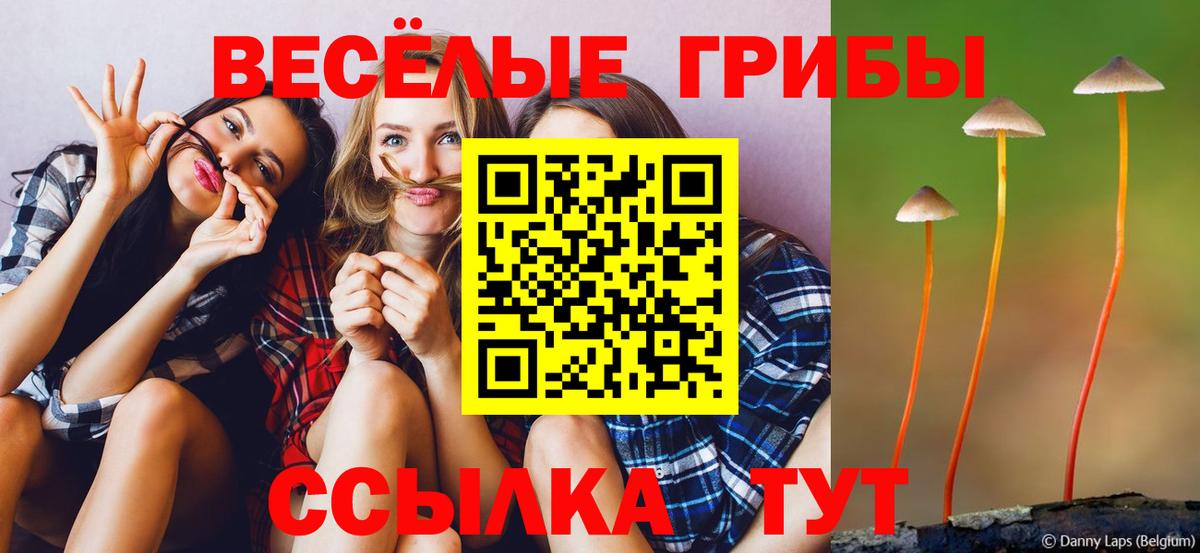 Галлюциногенные грибы MAGIC MUSHROOMS Симферополь