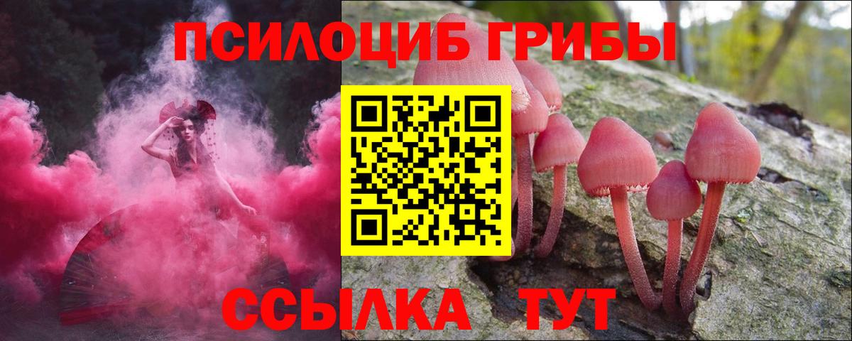 Галлюциногенные грибы Psilocybe  закладка  Симферополь  Вход с VPN 